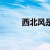 西北风是什么季节的风（西北风）