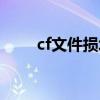 cf文件损坏解决方法（cf文件修复）