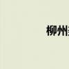 柳州美食图片（柳州美食）