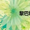 黎巴嫩南部多地遭以军袭击