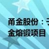 甬金股份：子公司拟7亿元投建高端钛及钛合金熔锻项目