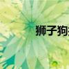 狮子狗技能顺序（狮子狗技能）