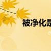 被净化是什么意思（被净化的梦）