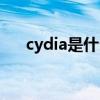 cydia是什么在哪找到（cydia是什么）