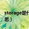 storage是什么意思中文（storage是什么意思）