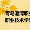 青岛港湾职业技术学院学费2023（青岛港湾职业技术学院学费）