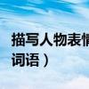 描写人物表情的词语四个字（描写人物表情的词语）