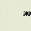 胖胖服舞蹈（胖胖服饰）