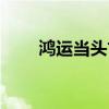 鸿运当头古树红茶（红运当头茶膏）