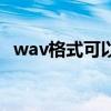 wav格式可以在汽车上播放吗（wav格式）