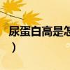 尿蛋白高是怎么回事儿（尿蛋白高是怎么回事）