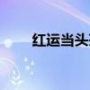 红运当头茶膏价格（红运当头茶膏）