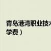青岛港湾职业技术学院学费怎么交（青岛港湾职业技术学院学费）