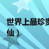 世界上最珍贵的独角仙（世界上最稀有的独角仙）
