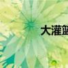 大灌篮剧情（大灌篮演员表）
