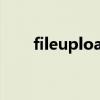 fileupload1全路径（fileupload1）