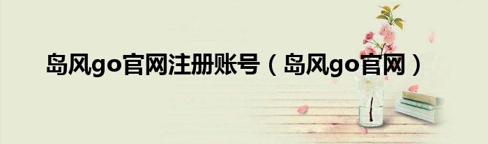 岛风go官网（岛风go免费版）