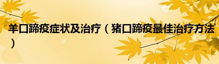 猪口蹄疫的最佳治疗方法（猪口蹄疫的症状和治疗方法）