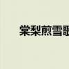 棠梨煎雪歌词完整版（棠梨煎雪歌词）