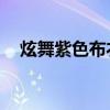 炫舞紫色布衣叫什么（qq炫舞紫色布衣）