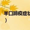 羊口蹄疫症状及治疗（猪口蹄疫最佳治疗方法）