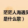 茫茫人海遇见你是什么歌（谢谢你让我遇到你是什么歌）