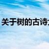 关于树的古诗大全50首（关于树的古诗大全）
