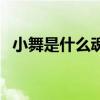 小舞是什么魂兽多少级（小舞是什么魂兽）