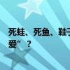 死蛙、死鱼、鞋子、石头、牛粪：青蛙为啥抱着它们“谈恋爱”？