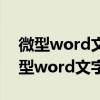 微型word文字处理和word文档一样吗（微型word文字处理）