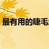 最有用的睫毛增长液（最有效的睫毛增长液）