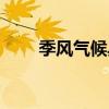 季风气候具有什么特点（季风气候）