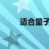 适合量子技术应用的特种光纤问世