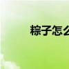 粽子怎么煮才正确（粽子怎么煮）
