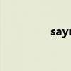 sayrecy破解版（say51）