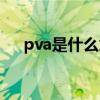pva是什么意思网络用语（pva是什么）