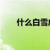 什么白雪成语aabc（什么白雪成语）