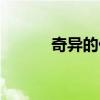 奇异的什么什么（奇异的什么）