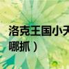 洛克王国小天马在哪里捉（洛克王国小天马在哪抓）