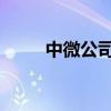 中微公司临港产业化基地落成启用