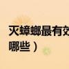 灭蟑螂最有效的处理方法（灭蟑螂最好办法有哪些）