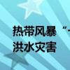 热带风暴“卡洛塔”登陆墨西哥 引发暴雨和洪水灾害