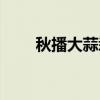 秋播大蒜栽培技术（秋播大蒜栽培）