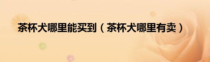 怎么买茶杯犬在哪可以买到（茶杯犬哪里能买）