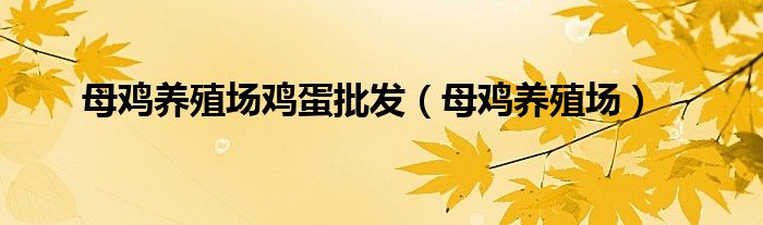 母鸡养殖技术培训（养殖母鸡基地）