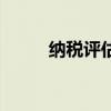 纳税评估项目填什么（纳税评估）