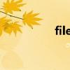 file是什么意思（files）
