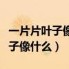 一片片叶子像什么从树上飘落下来（一片片叶子像什么）