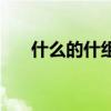 什么的什组词组两个（什么的什组词）