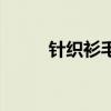 针织衫毛衣好评语（针织衫毛衣）